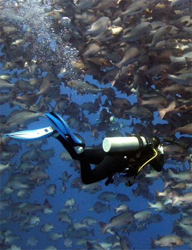 Diver releasing air bubbles through mask